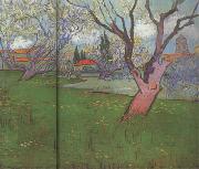 Vincent Van Gogh View of Arles with Trees in Blossom (nn04) Spain oil painting reproduction
